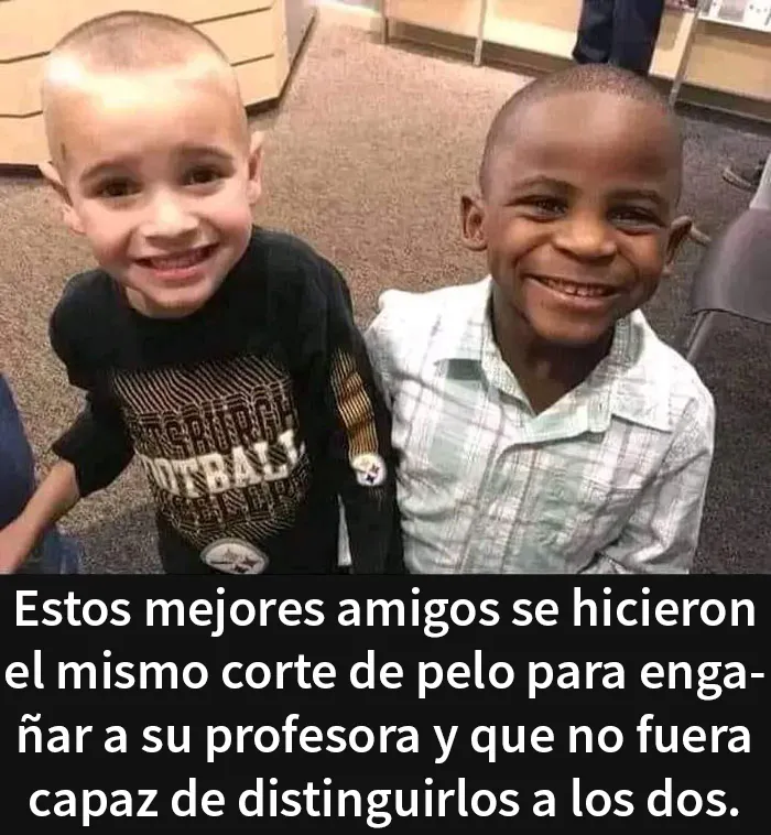 20 Memes de los que cuesta no reírse aunque te sientas mal por ello