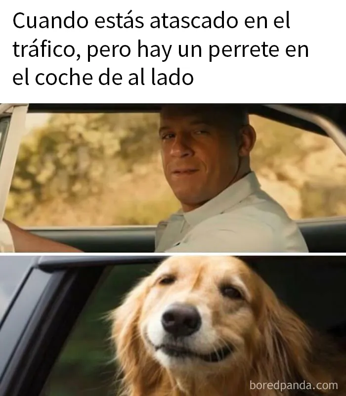 20 Divertidos memes para ayudarte a pasar el día de hoy