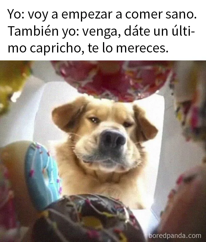 20 Divertidos memes para ayudarte a pasar el día de hoy