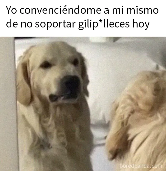 20 Divertidos memes para ayudarte a pasar el día de hoy