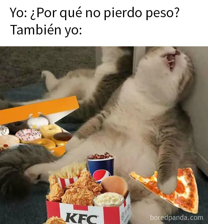 20 Divertidos memes para ayudarte a pasar el día de hoy