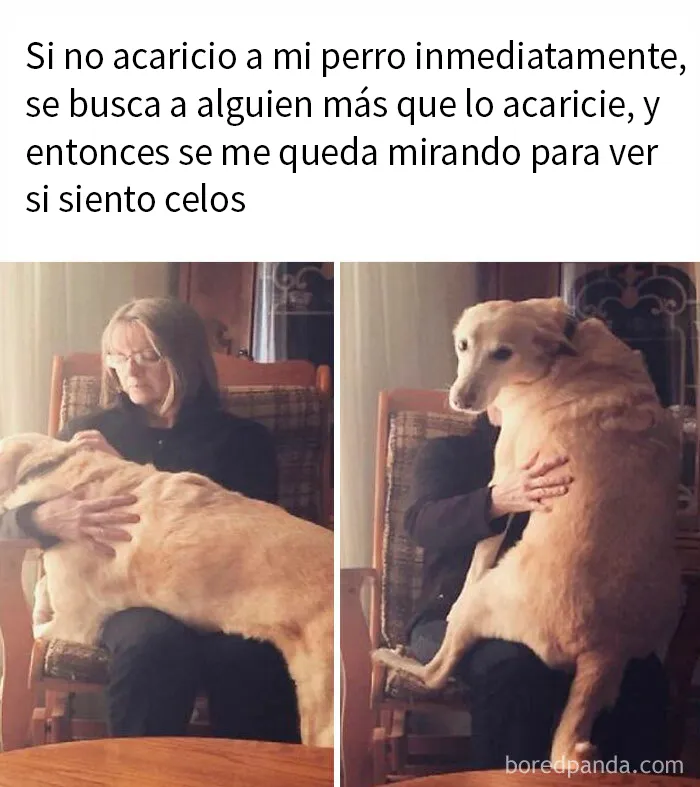 20 Divertidos memes para ayudarte a pasar el día de hoy