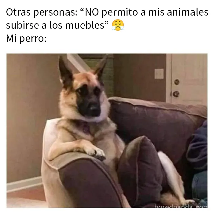20 Divertidos memes para ayudarte a pasar el día de hoy