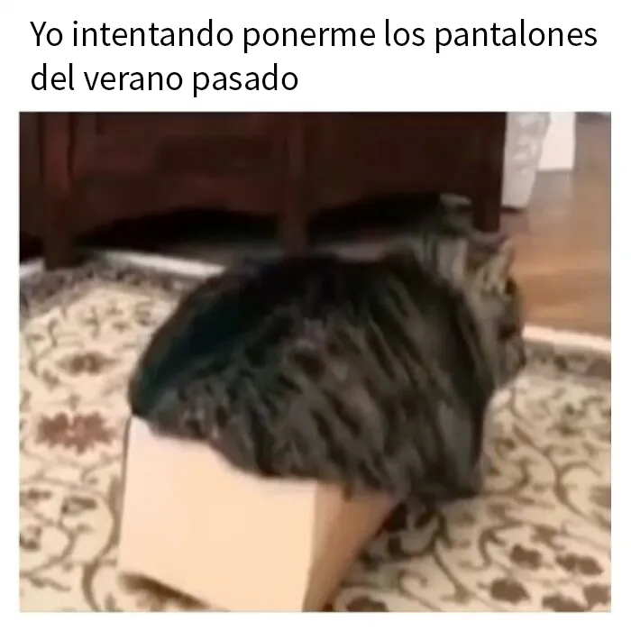 20 Divertidos memes para ayudarte a pasar el día de hoy