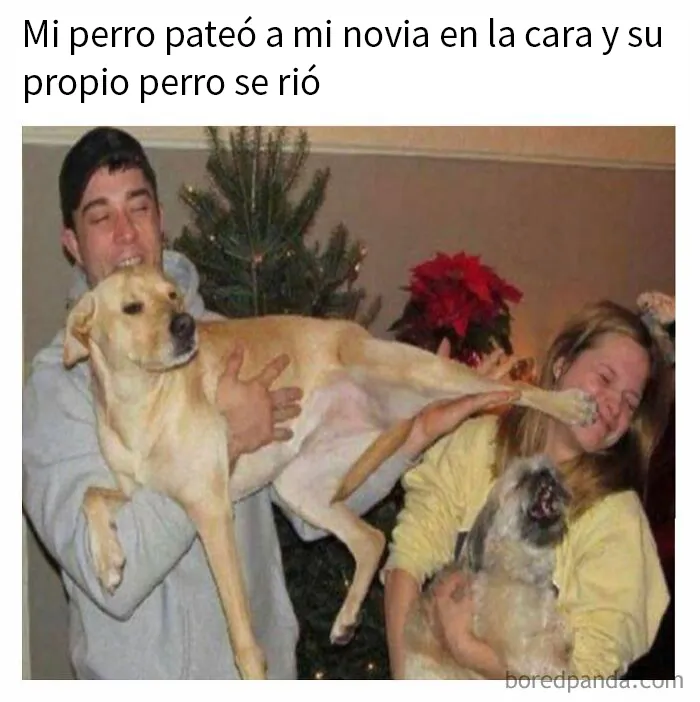 20 Divertidos memes para ayudarte a pasar el día de hoy