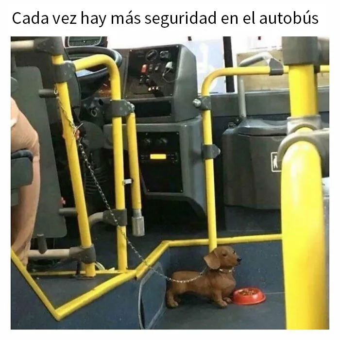 20 Divertidos memes para ayudarte a pasar el día de hoy