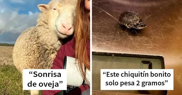 40 Animales adorables para alegrarte el día (nuevas fotos)
