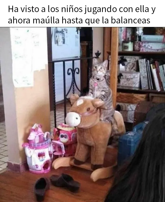 20 Fantásticos memes de gatos para alegrarte el día