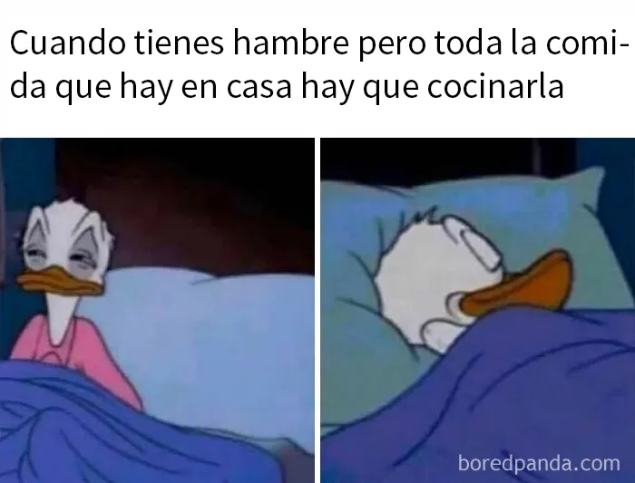 20 Nuevos memes divertidos y llenos de sarcasmo para toda la familia