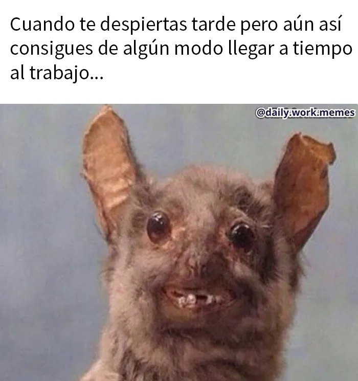 20 Divertidos memes sobre trabajo para ayudarte a sobrellevar la jornada laboral