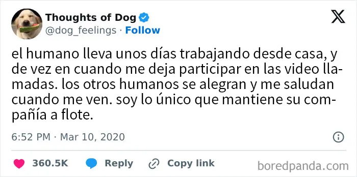 20 Divertidos memes sobre el trabajo desde casa para reír ante la pantalla