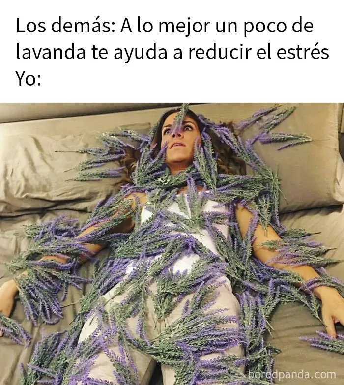20 Divertidos memes sobre el trabajo desde casa para reír ante la pantalla