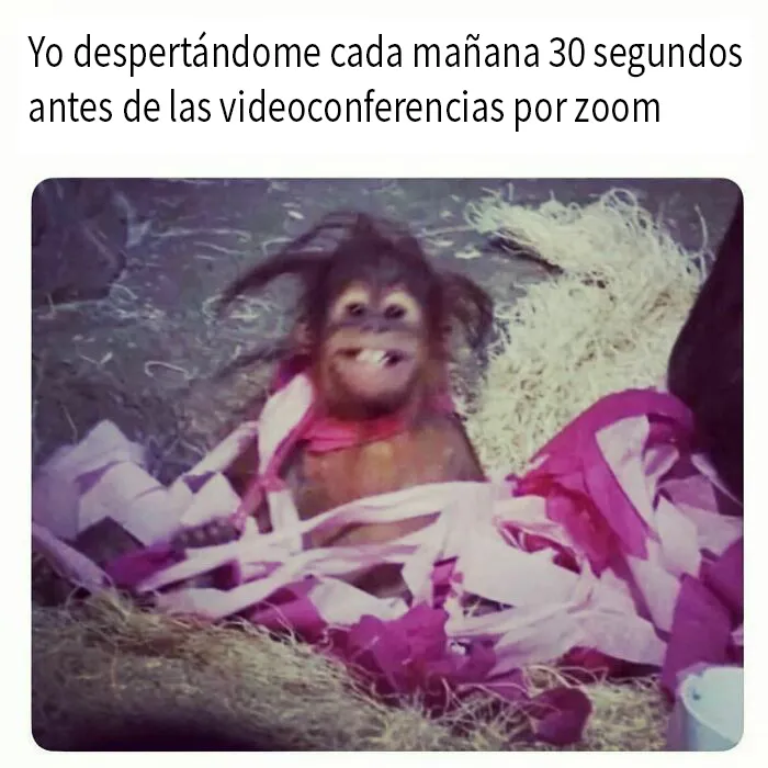 20 Divertidos memes sobre el trabajo desde casa para reír ante la pantalla