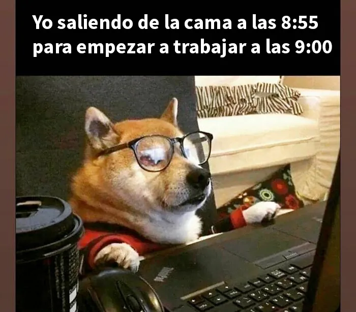 20 Divertidos memes sobre el trabajo desde casa para reír ante la pantalla