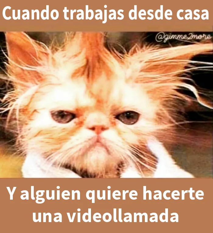 20 Divertidos memes sobre el trabajo desde casa para reír ante la pantalla