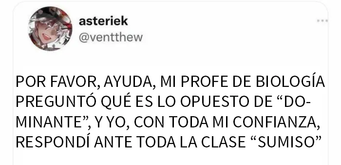 20 Memes desquiciados para calmar almas turbulentas