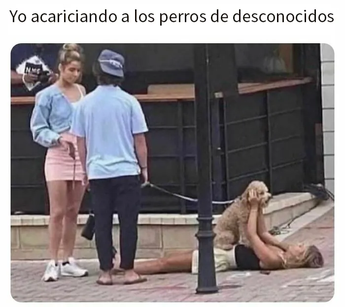 20 Memes divertidos, familiares, o sencillamente tontos
