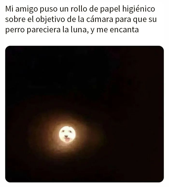 20 Memes divertidos, familiares, o sencillamente tontos
