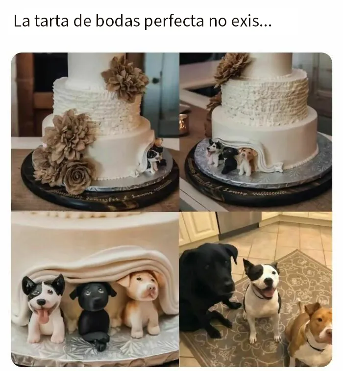 20 Memes divertidos, familiares, o sencillamente tontos