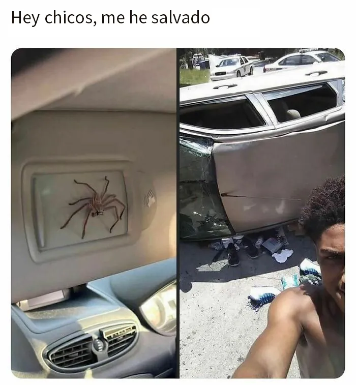 20 Memes divertidos, familiares, o sencillamente tontos