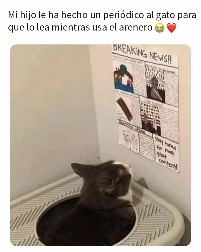 20 Memes divertidos, familiares, o sencillamente tontos