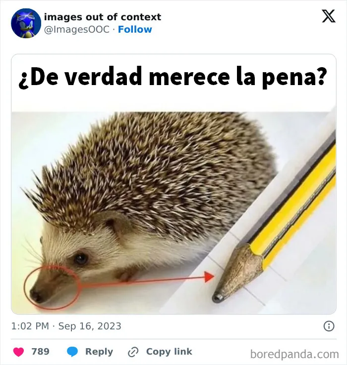 20 Divertidas publicaciones que requieren contexto