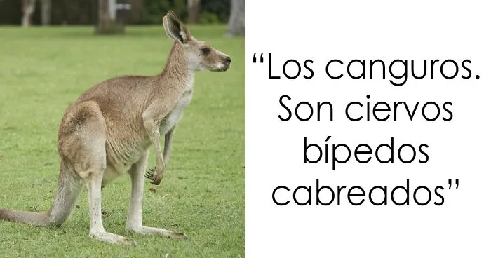 20 Cosas fascinantes sobre Australia que sorprendieron a los visitantes