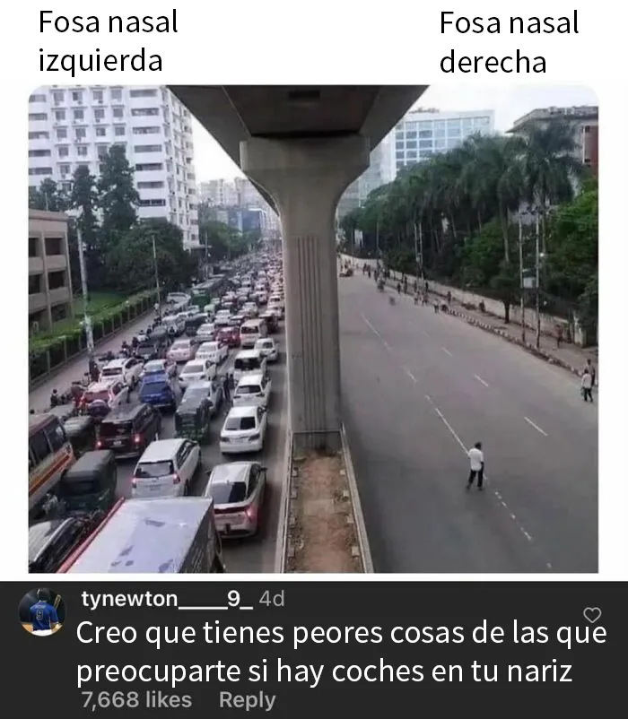 18 Comentarios tan divertidos que se llevaron más fama que las publicaciones en las que aparecen
