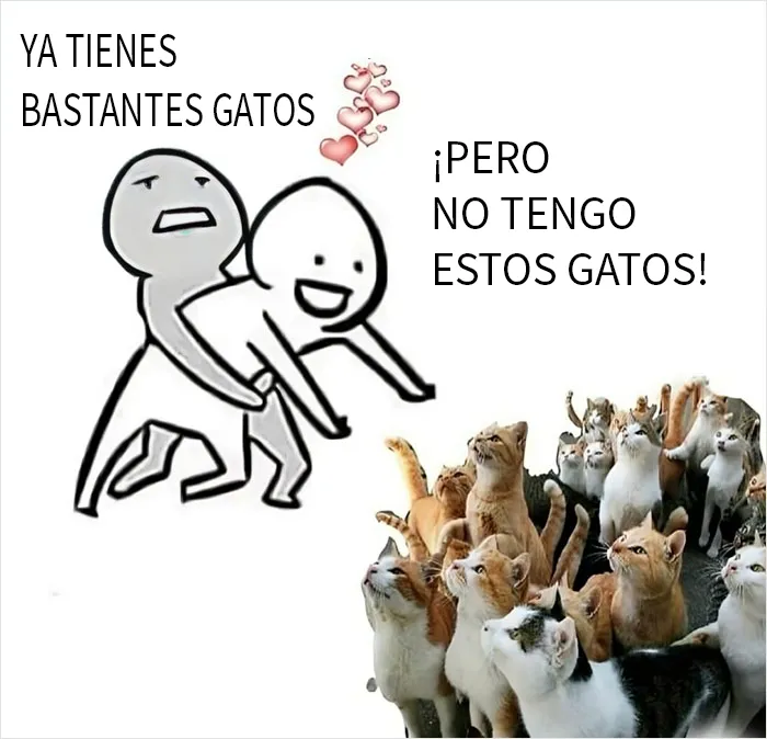 20 Divertidos memes de gatos para sacarte una sonrisa