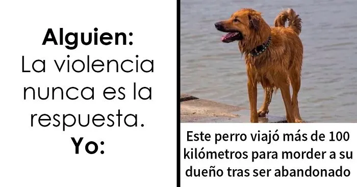 20 Capturas de pantalla que te hacen decir «hmmm» y había que compartir