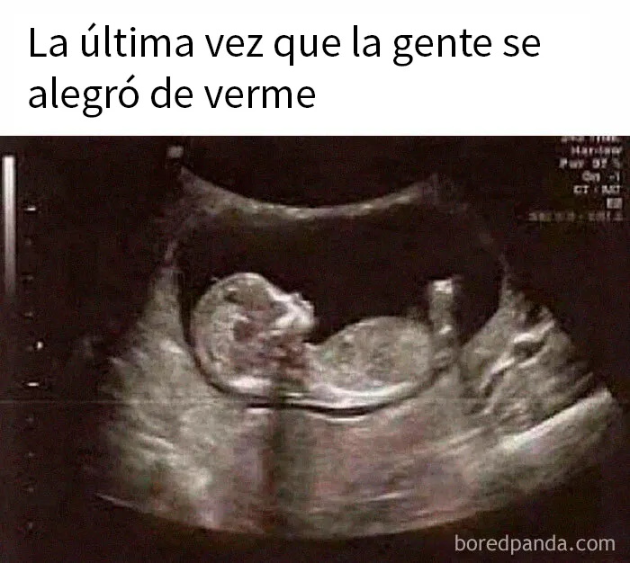 20 Divertidos memes que harán reír a todos los introvertidos (nuevas imágenes)