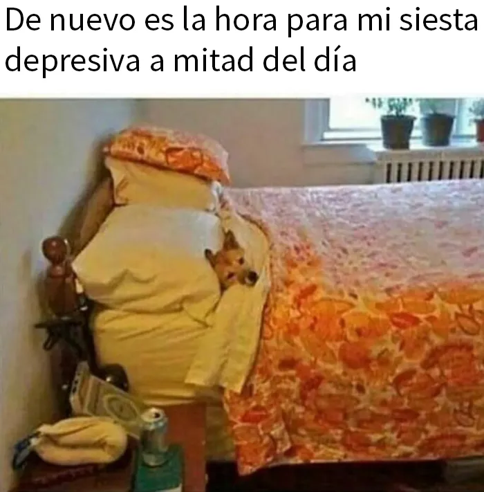20 Divertidos memes que harán reír a todos los introvertidos (nuevas imágenes)