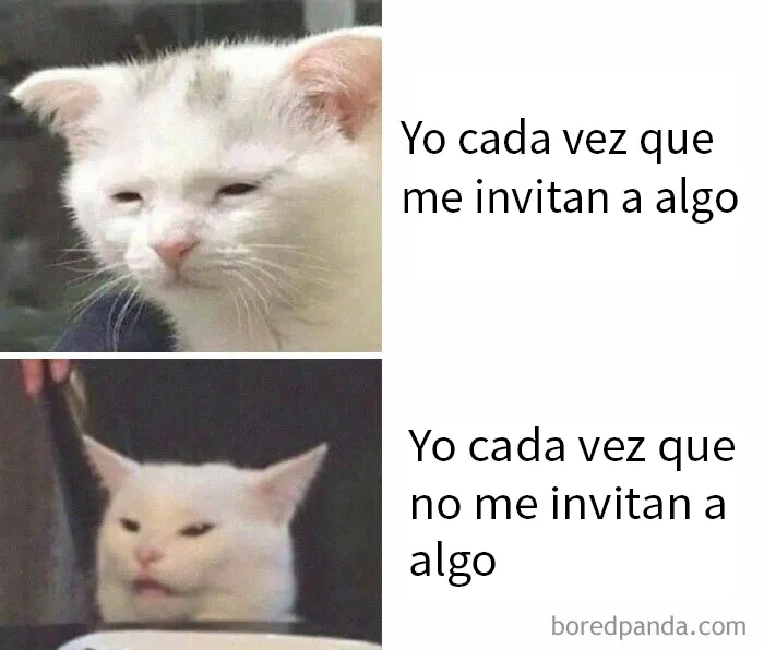 20 Divertidos memes que harán reír a todos los introvertidos (nuevas imágenes)