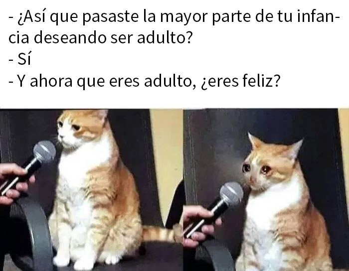 20 Divertidos memes que harán reír a todos los introvertidos (nuevas imágenes)