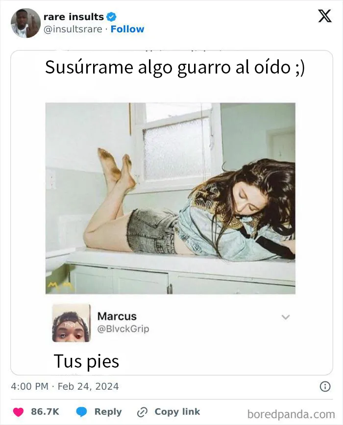 20 Insultos salvajes encontrados en Internet y que eran demasiado buenos para no compartirlos