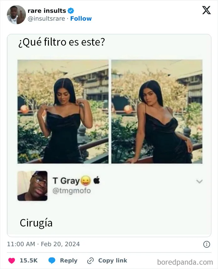 20 Insultos salvajes encontrados en Internet y que eran demasiado buenos para no compartirlos