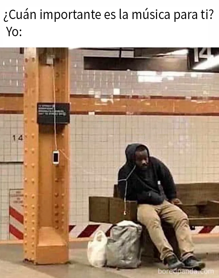 20 Memes aleatorios para divertirte, preocuparte o ambos a la vez