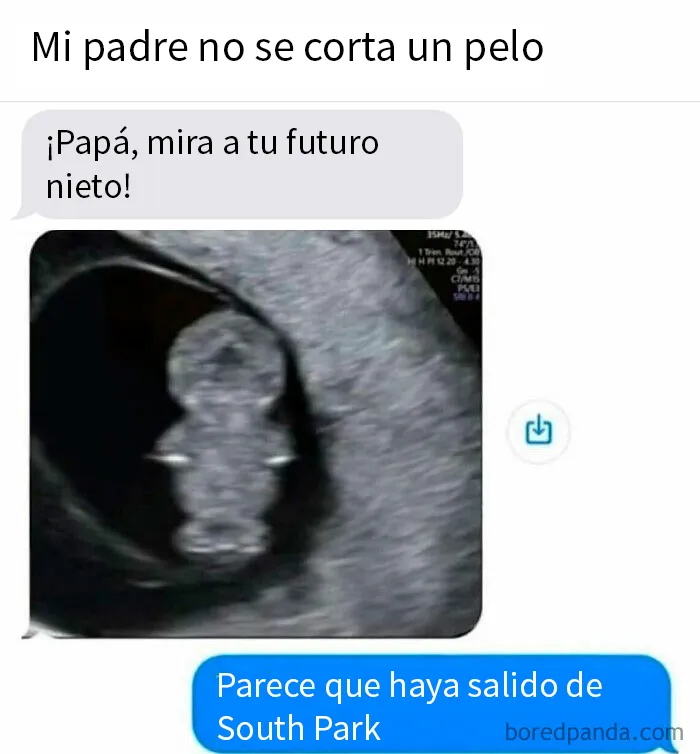 20 Memes aleatorios para divertirte, preocuparte o ambos a la vez