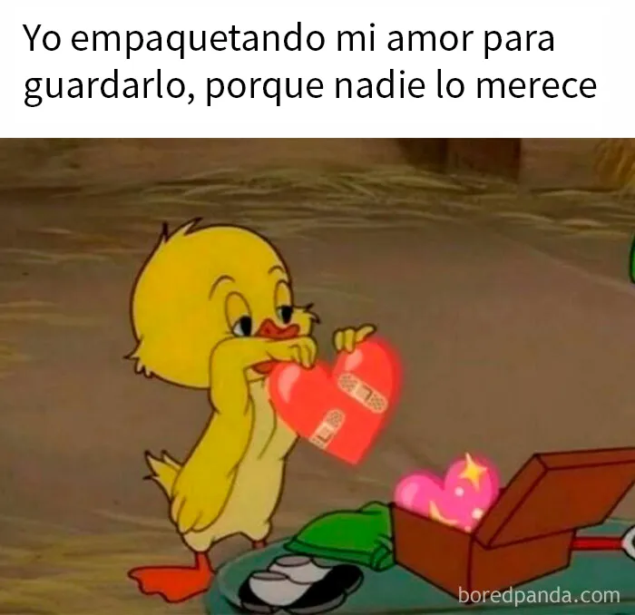 20 Memes aleatorios para divertirte, preocuparte o ambos a la vez