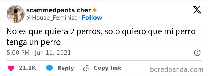 20 Memes divertidos y aleatorios con los que identificarse