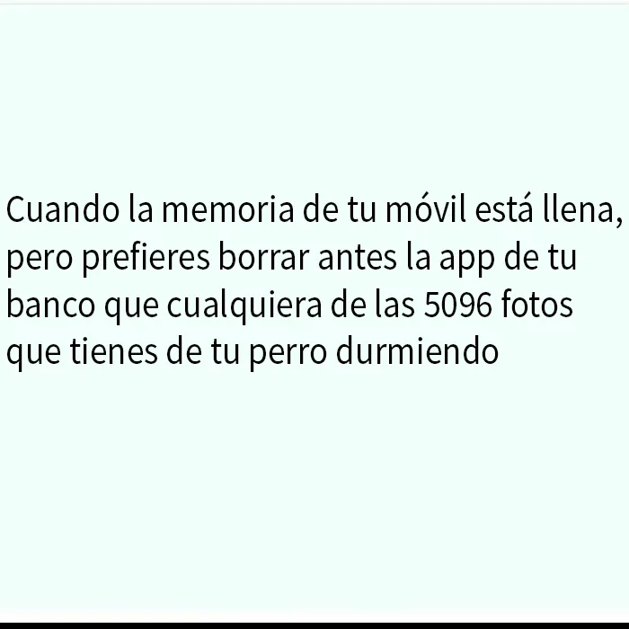 20 Memes divertidos y aleatorios con los que identificarse