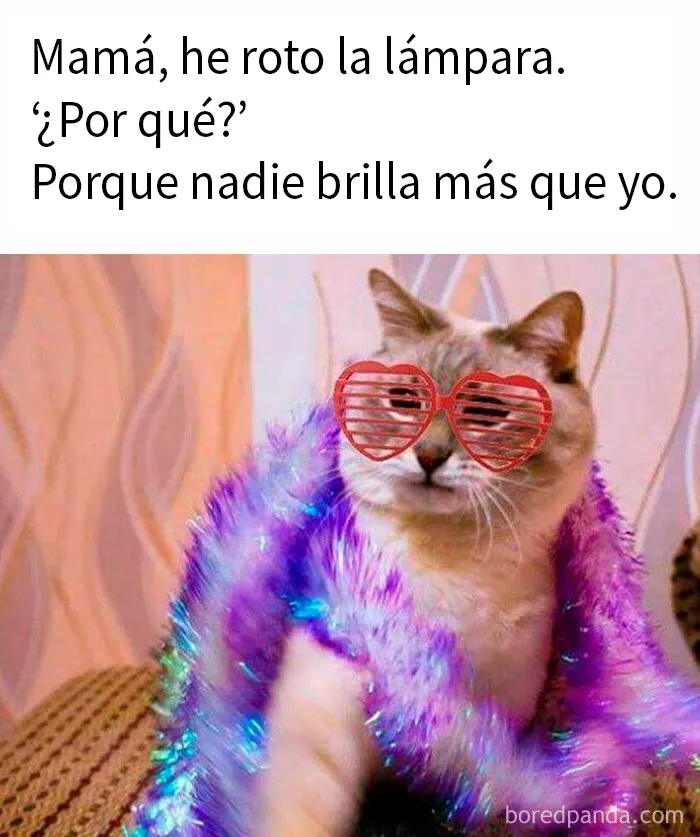 20 Memes divertidos y aleatorios con los que identificarse