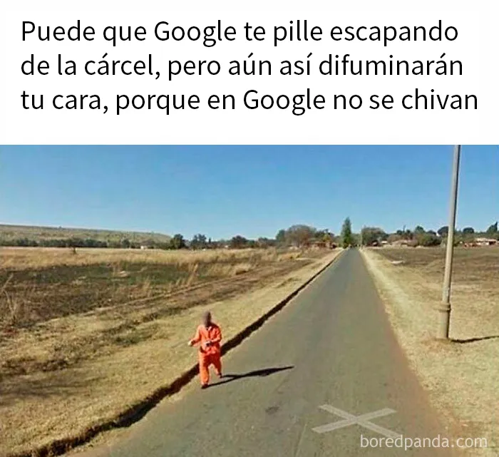 20 Memes divertidos y aleatorios con los que identificarse