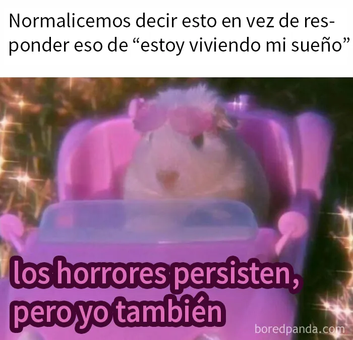 20 Memes divertidos y aleatorios con los que identificarse