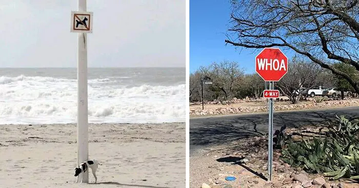 30 Carteles muy divertidos para echarse unas risas