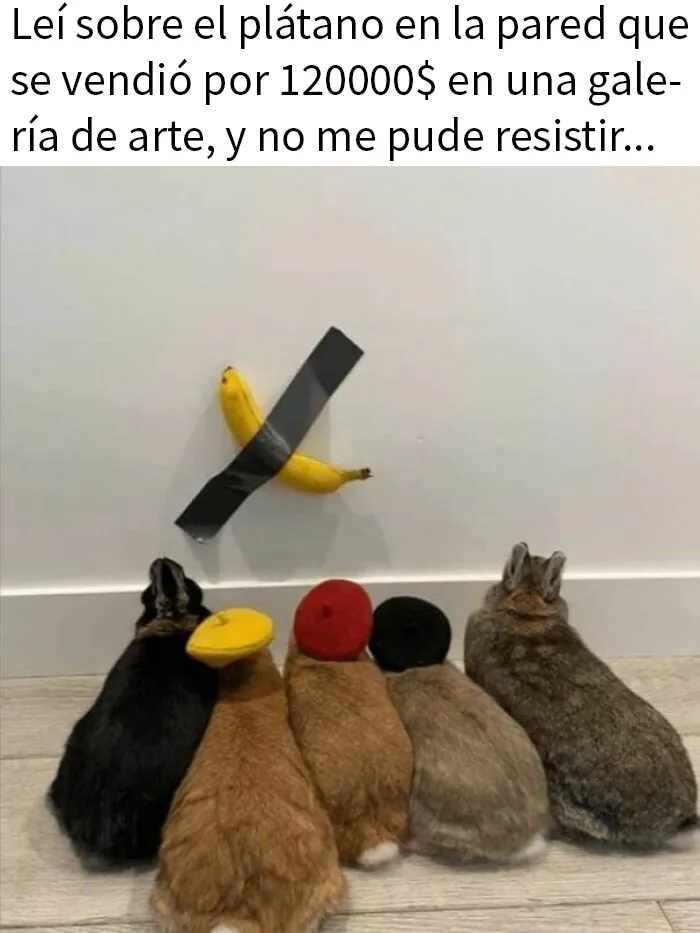 20 Memes reconfortantes para devolverte la fe en la humanidad