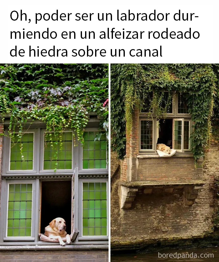 20 Memes reconfortantes para devolverte la fe en la humanidad