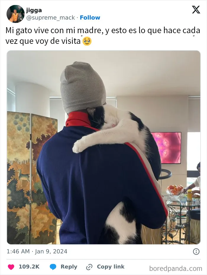 20 Memes reconfortantes para devolverte la fe en la humanidad