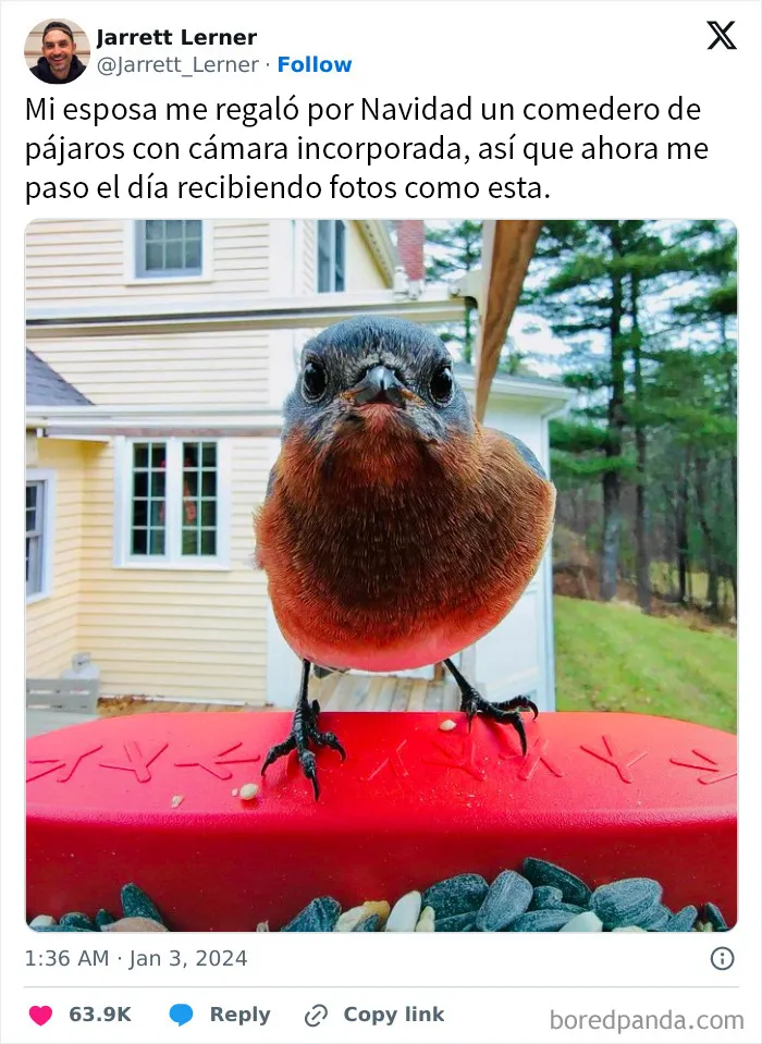 20 Memes reconfortantes para devolverte la fe en la humanidad