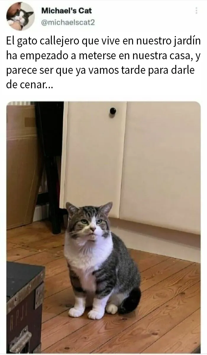 20 Memes reconfortantes para devolverte la fe en la humanidad